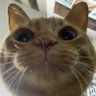 ☆꩜ profil fotoğrafı
