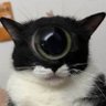 Profilbild von Minka