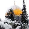 Фото профиля 🇵🇸 🔻 yazan majed