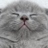 りょう🧸🌟 ̖́-🐬's profile picture