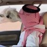 Фото профиля نـايـف الـشيبانيّ