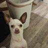 Gerald R. Allen's profile picture