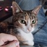 Profilbild von LiquidCheese