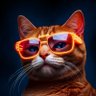 Profilbild von Crypto Chillionaire