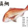 魚拓@言い逃げブロ歓迎(笑) profil fotoğrafı