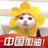 Фото профиля 朝南而行