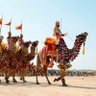 Фото профиля राजस्थानी ऊंट
