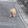 食べる煮干しᗦ↞◃ profil fotoğrafı
