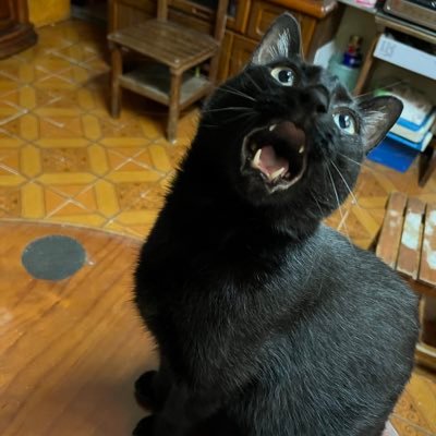 leonardliu1217's profile picture