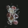 ku's profile picture
