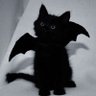 идём nahui's profile picture
