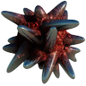 Profilbild von Bidule Truc
