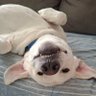 Olga's profile picture
