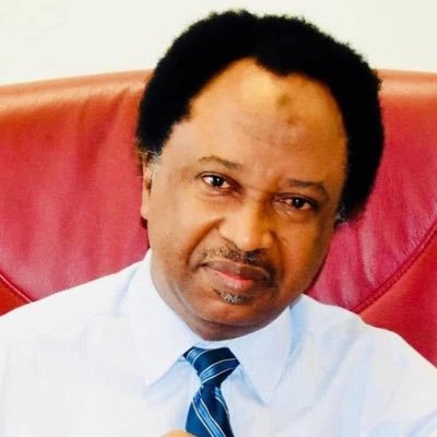 ShehuSani's profile picture