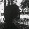 Noel Wolf's profile picture