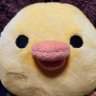 Profilbild von もも助