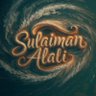 Soliman Ali's profile picture
