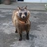 おかあさん's profile picture