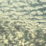 Tsunpaku 的头像