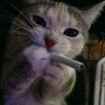 Фото профиля smoke🚬