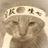 Profilbild von 理塘工总司
