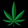 Profilbild von 420