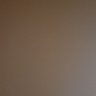 Shyguy174 profil fotoğrafı