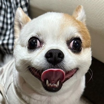兄ケン / Aniken's profile picture