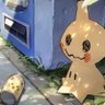 Mimi's profile picture