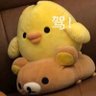 舟昳星's profile picture