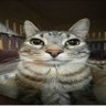 Profilbild von Neos7