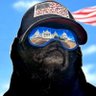 Wonkapotamus Pug 的头像
