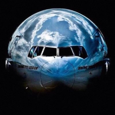 webflite's profile picture