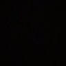 Noor's profile picture