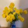 Фото профиля MommaTut 🌻🌻🇺🇸