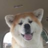 Фото профиля ひーさん