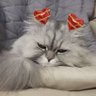 박창범 profil fotoğrafı