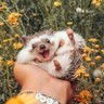 artestarD's profile picture