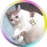 Profilbild von Rain's_Mist