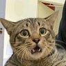 Profilbild von Radtra