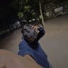 Paddy's profile picture