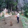 ມັກມ່ວນຊວນໄດ້ເດີມັກຖືກແທງ profil fotoğrafı