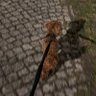 root's profile picture