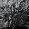 Фото профиля Coda