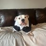 Louise Gia's profile picture