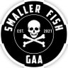 Фото профиля Smaller Fish