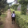 Otieno Edwards's profile picture