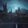 HogwartsX's profile picture