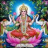 Lakshmi profil fotoğrafı