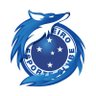 Profilbild von Cruzeiro fc Fc